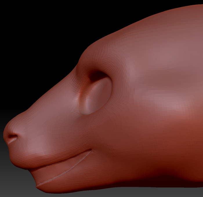 Gender Neutral Kangaroo Static Jaw Head Base