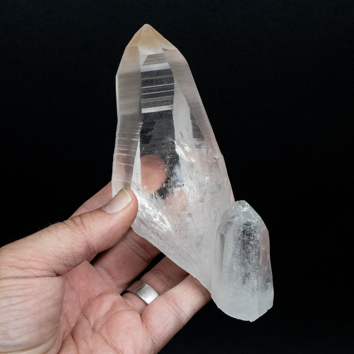 Lemurian Seed Quartz Crystal 422 g 150x82mm - InnerVision Crystals