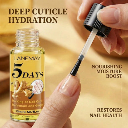 Natural Bee Venom Ginger Nail Strengthening Liquid Treatment Fast 5 Days Repair Serum Care For Surface Cuticle Oil Edge Hydrating Nourishing Solution For Damaged Thin Nails Finger Care Drops 15ml