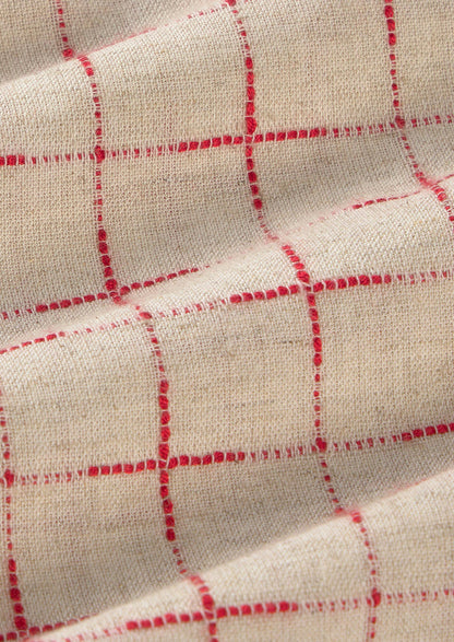 Close-up of fabric with red checkered pattern