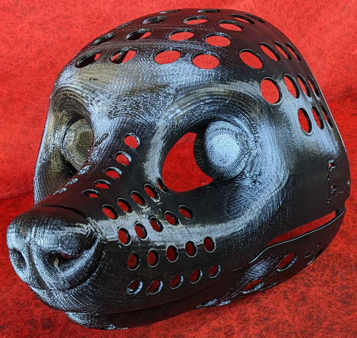Realistic Raccoon Head Base