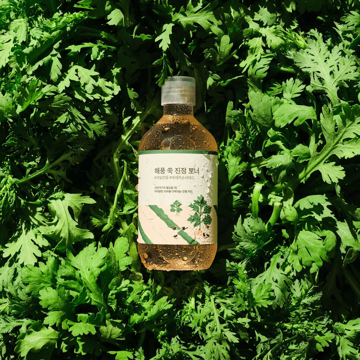 Round Lab Mugwort Calming Toner