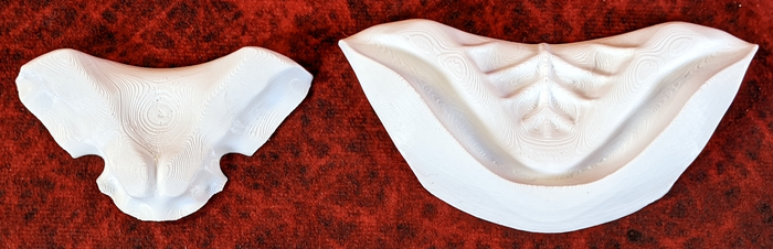Small Raptor Realistic Style Jawset