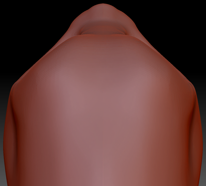 True Kemono Somali Cat Static Jaw Head Base Variant 1