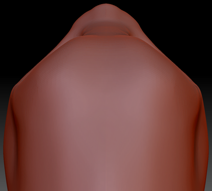 True Kemono Somali Cat Static Jaw Head Base Variant 1